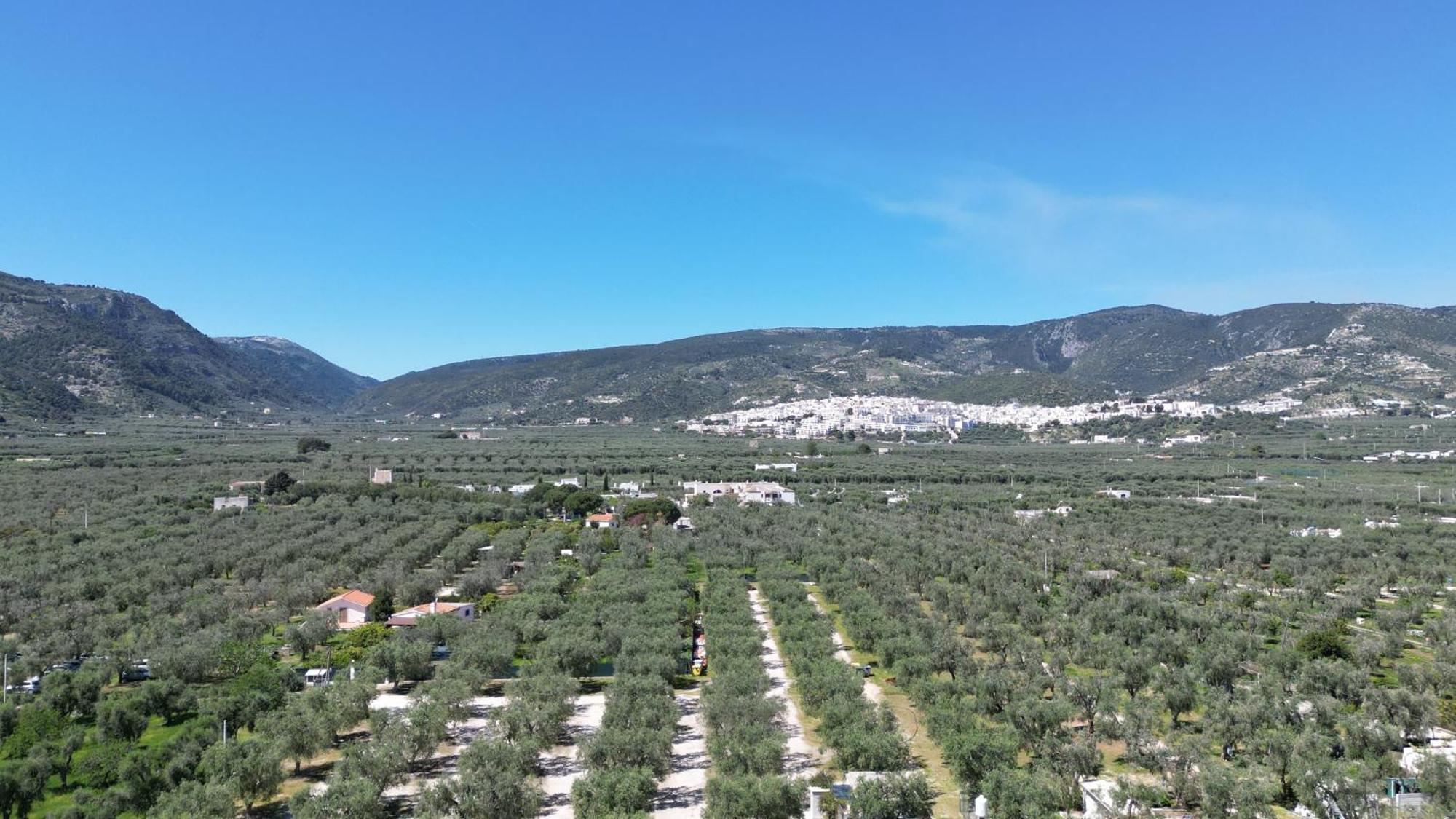 Olive&Sea Villa-Sea Маттината Экстерьер фото